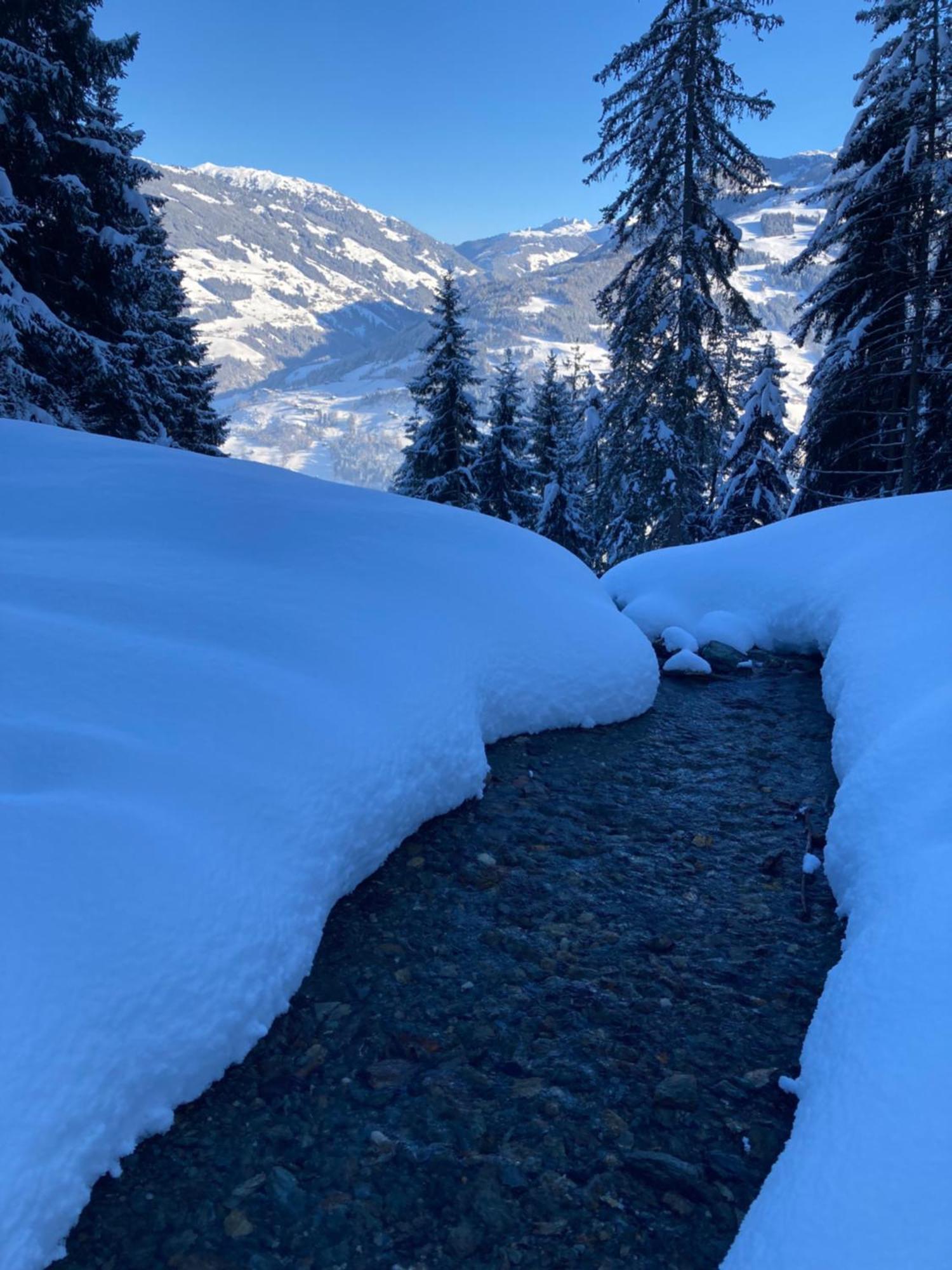 Goass'N Alm Zillertal Vila Hippach Exterior foto